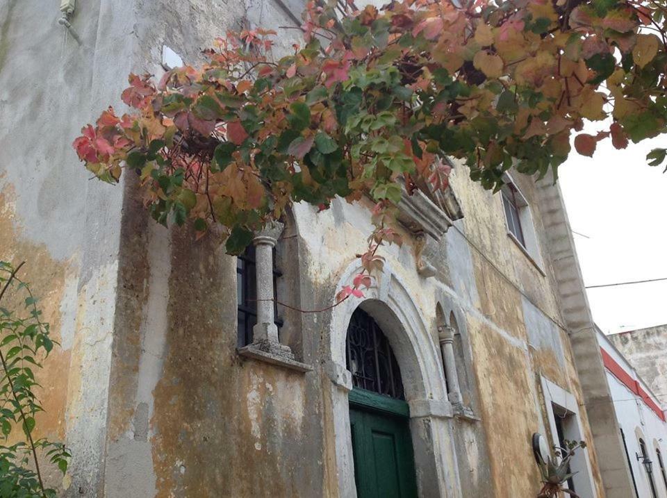 Dimora Benedetta 2 0 Villa Bari Bagian luar foto